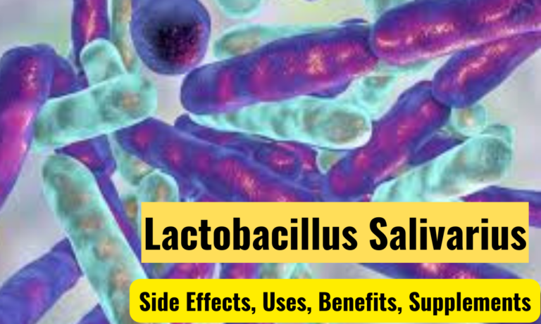 Lactobacillus