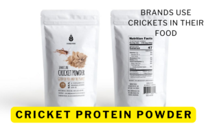 acheta protein