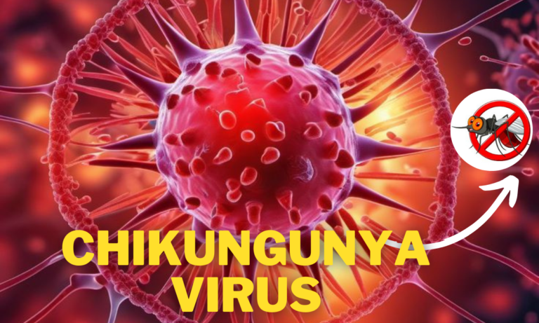 Chikungunya Virus