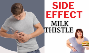  milk thistle for fatty liver