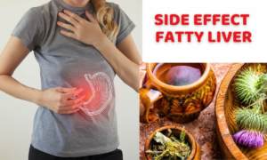  milk thistle for fatty liver