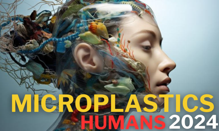 microplastics in humans