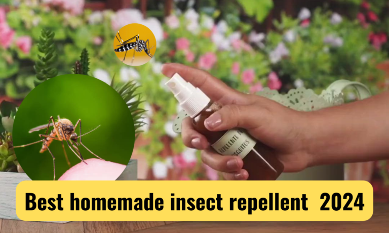 homemade insect repellent