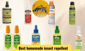 homemade insect repellent