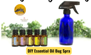 homemade insect repellent