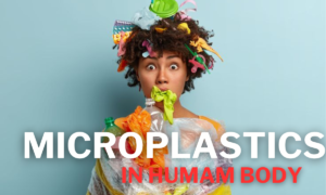 microplastics in humans