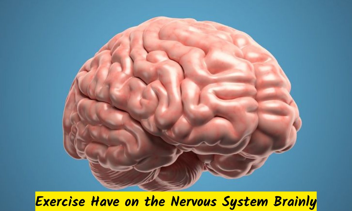 Effect Does Exercise Have on the Nervous System