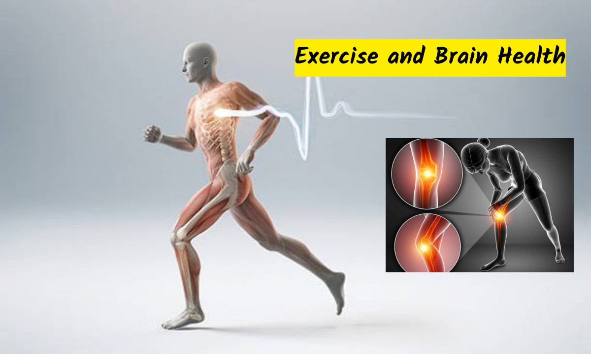 Effect Does Exercise Have on the Nervous System