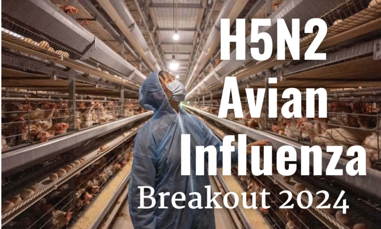 H5N2 Avian Influenza Breakout