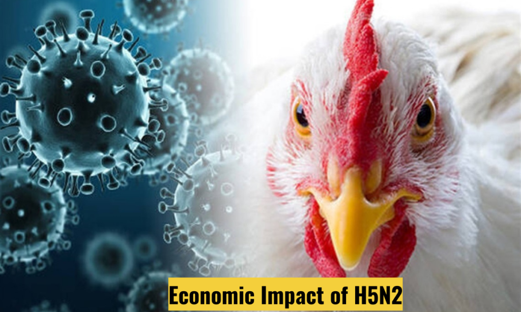  H5N2 Avian Influenza Breakout 