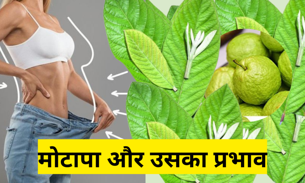 Benefits of guava tree leaves