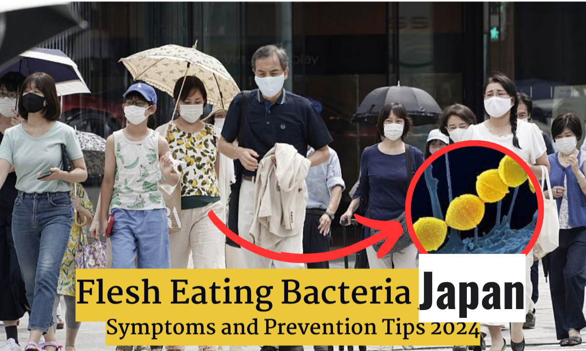 Flesh Eating Bacteria Japan