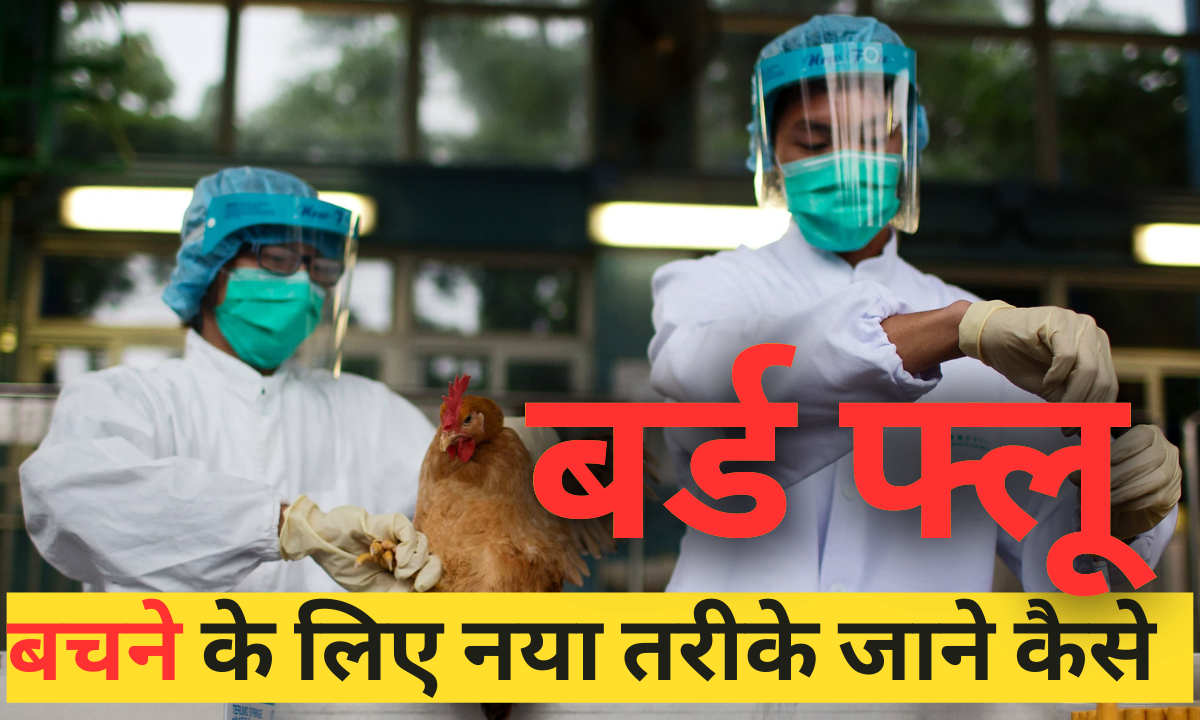 Brid Flu in Hindi