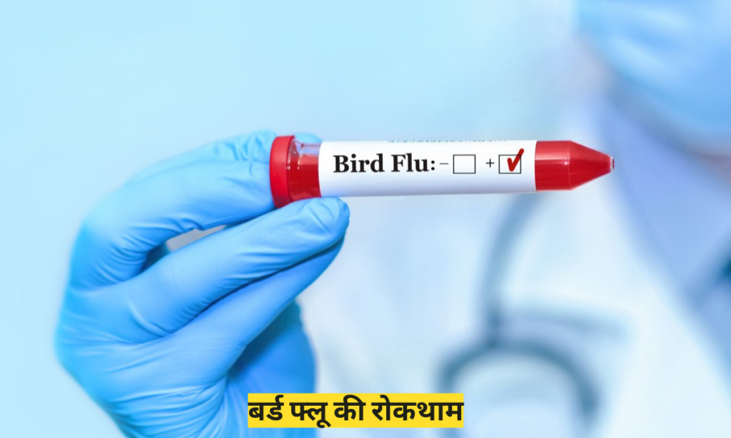 Brid Flu in Hindi