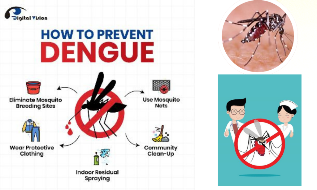 Dengue and Typhoid Test