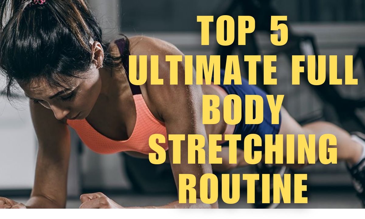 Full Body Stretching Routine