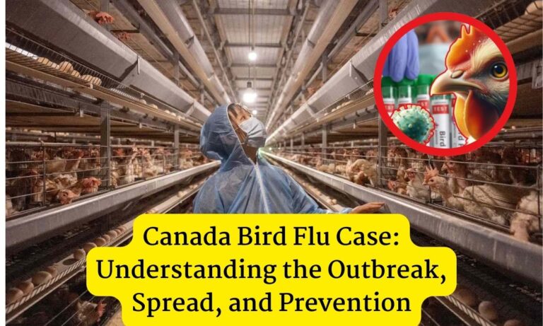 Bird Flu Case